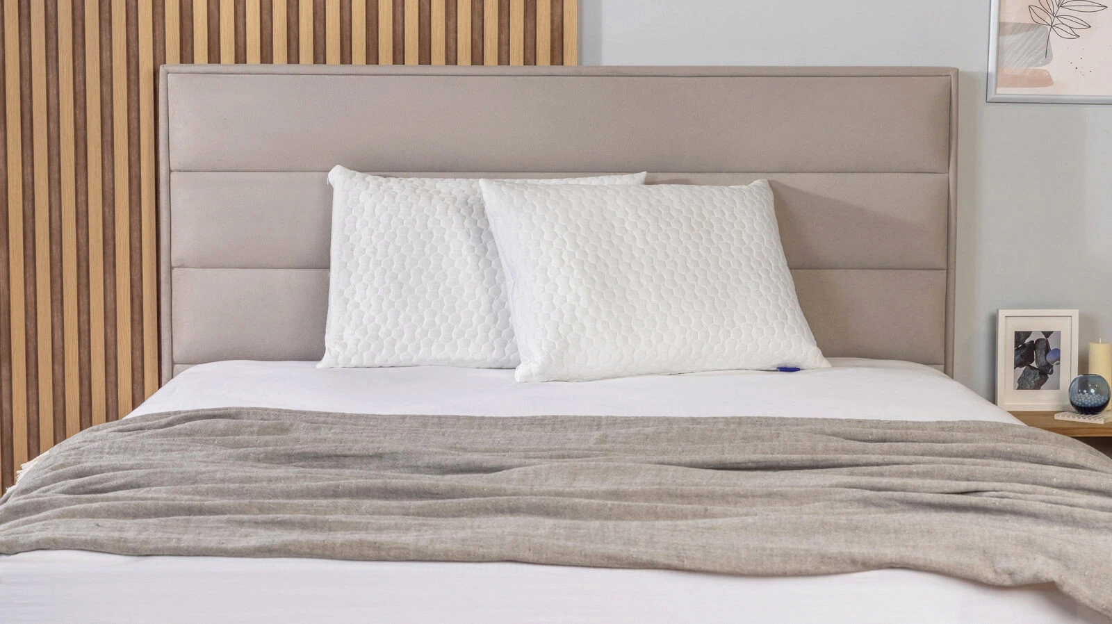 Защитный чехол Protect-a-Pillow Arctic Plus 50x70 в мебель-центре Озерцо