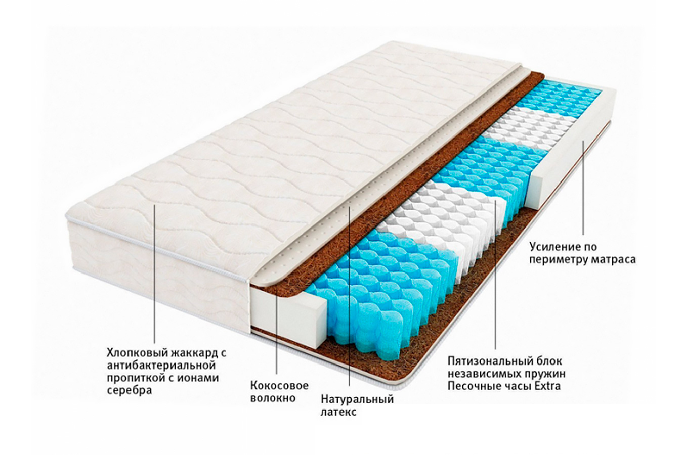 Анатомический матрас EXPERT Etalon 80x190 - купить в Озерце