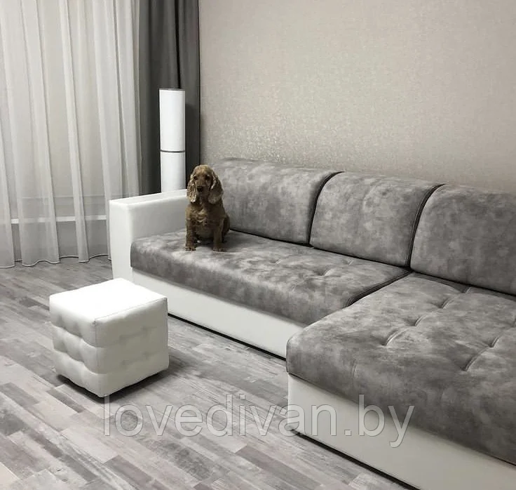 Брайт угловой — купить в Озерце