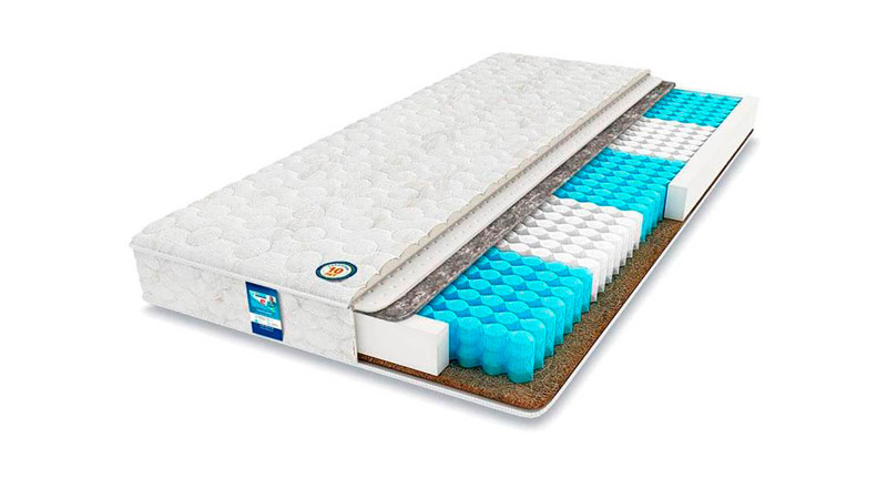 Анатомический матрас EXPERT Erudite 80x200 - купить в Озерце