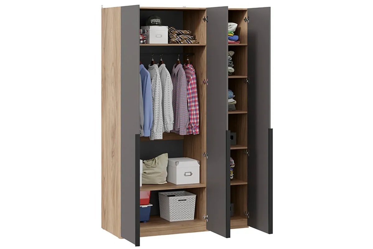 Шкаф для одежды Порто СМ-393.07.112 (580) с 2 глухими и 1 зеркальной дверями (Яблоня Беллуно/Графит софт) в мебель-центре Озерцо