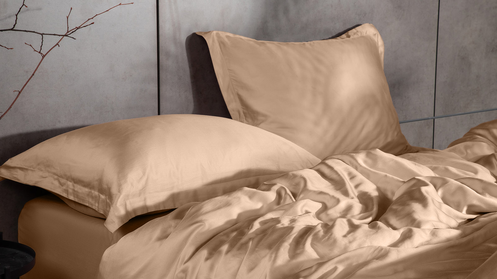 Постельное белье Comfort Solid Tencel, цвет: Латте (односпал) 140x205, без простыни в мебель-центре Озерцо