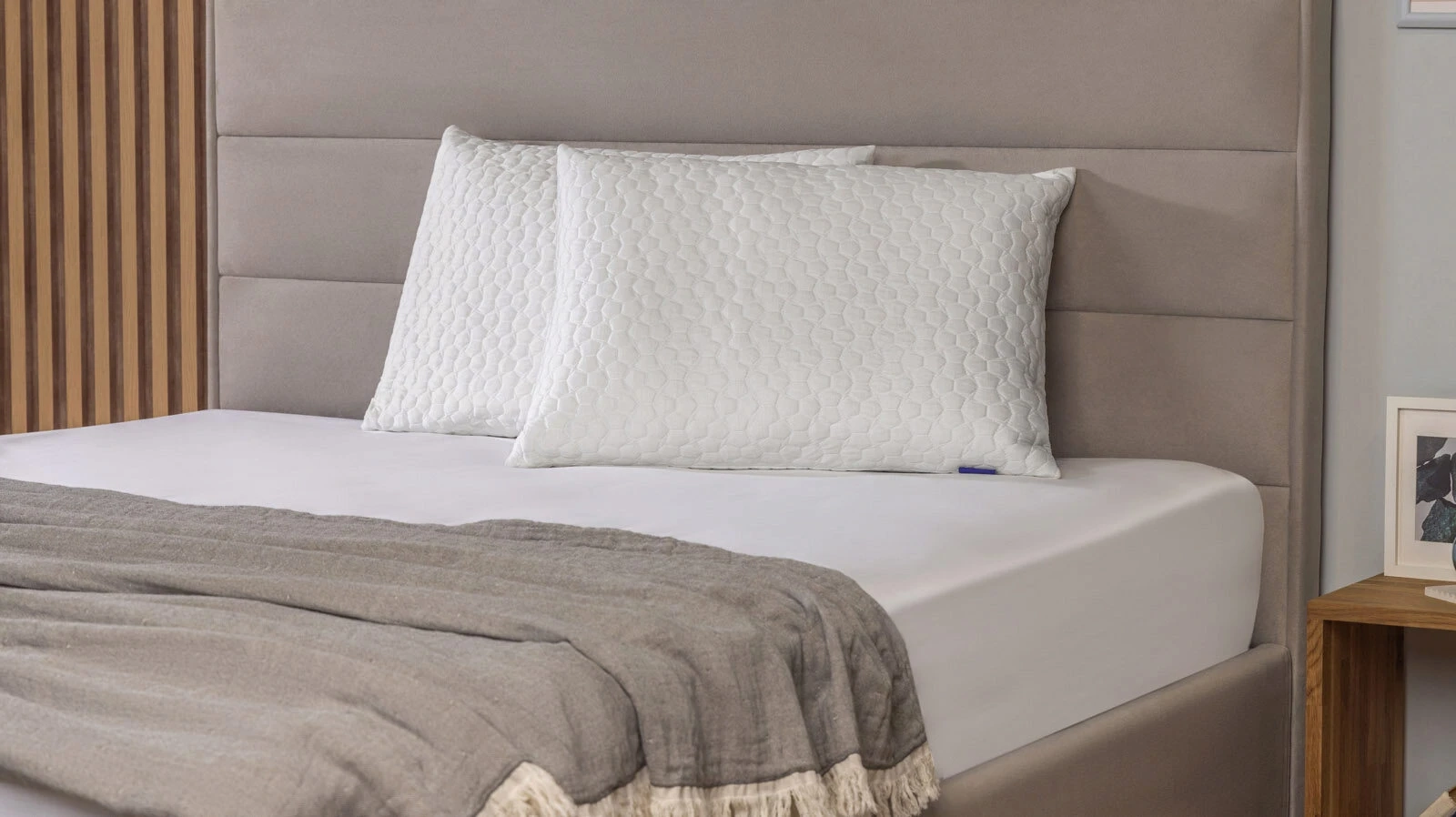 Защитный чехол Protect-a-Pillow Arctic Plus 50x70 в мебель-центре Озерцо