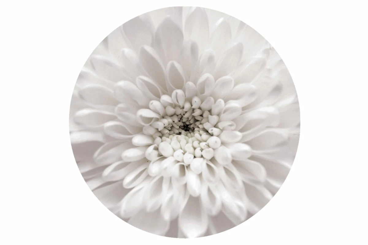 Стол обеденный Бостон круглый на опоре триумф (рис. Флоренс) - купить в Озерце