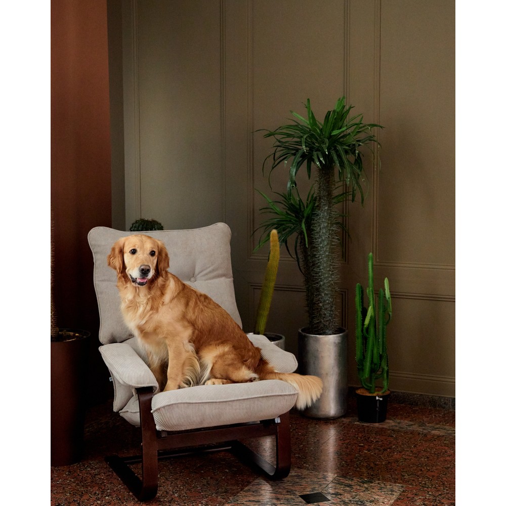 Кресло Пневмо, ткань "Вертикаль", каркас орех — купить в Озерце