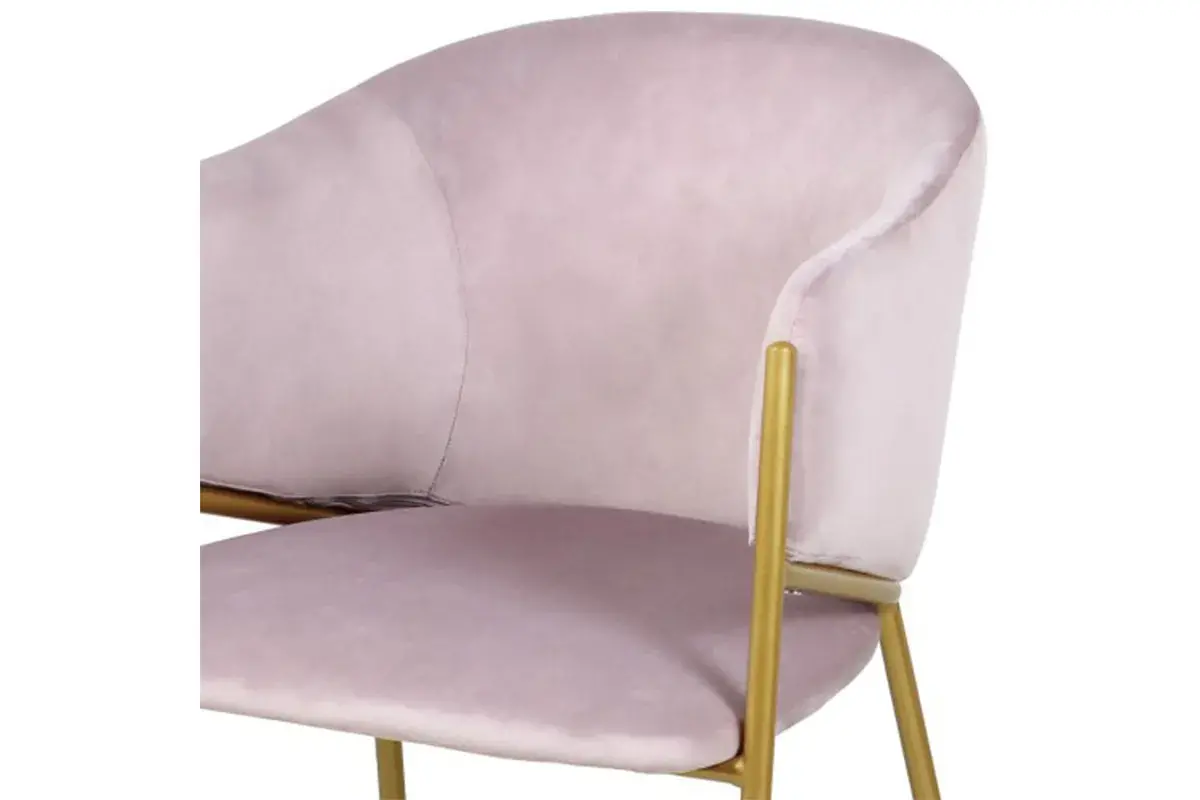 Стул Муза каркас золото, велюр (Velluto 14 фламинго) СРП-068 - купить в Озерце