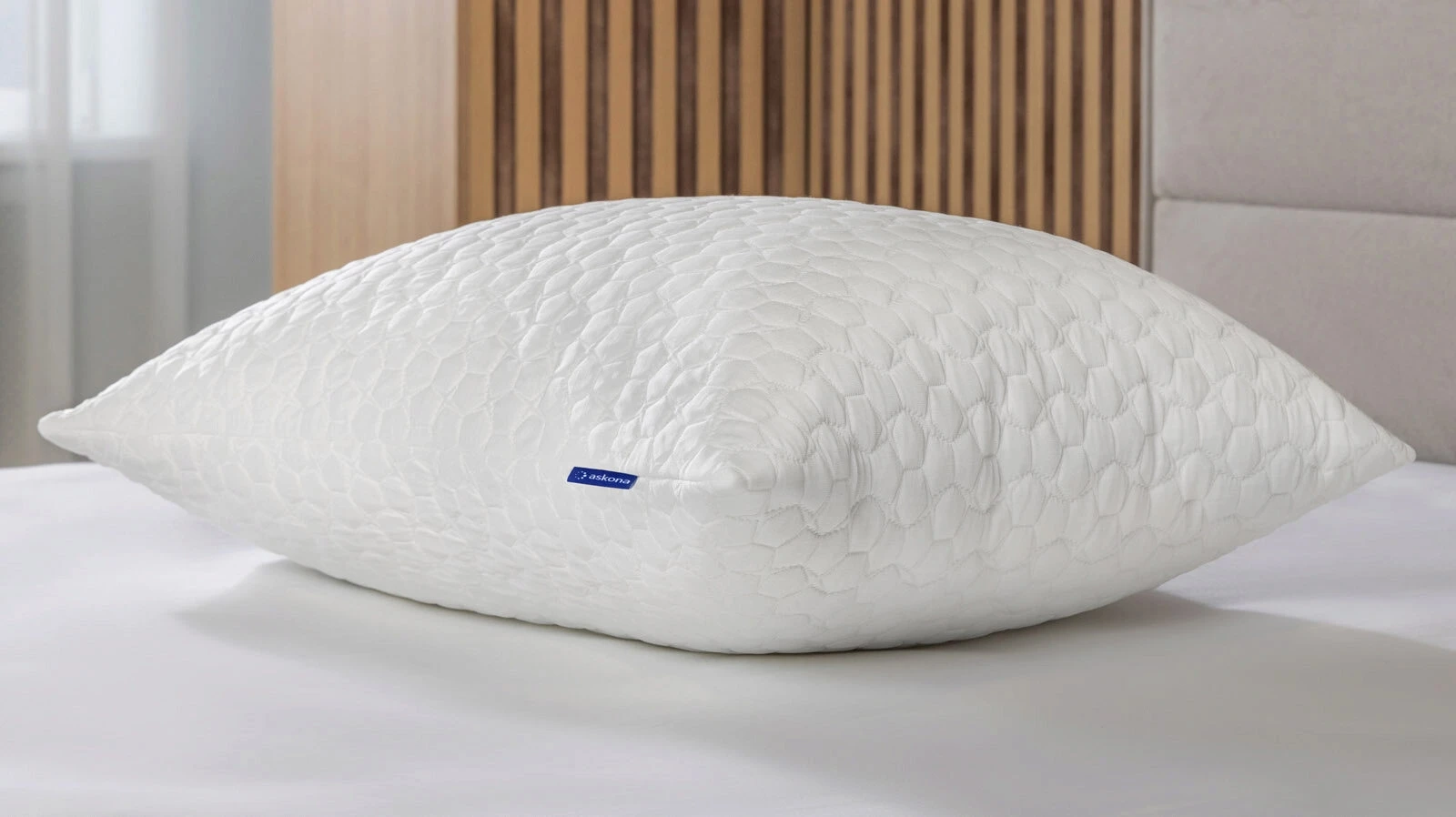 Защитный чехол Protect-a-Pillow Arctic Plus 50x70 в мебель-центре Озерцо
