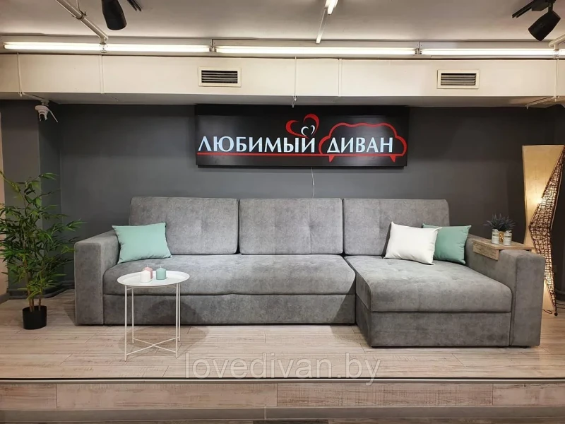 Европа угловая — купить в Озерце