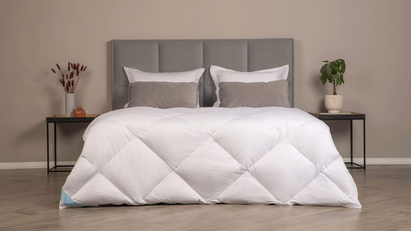 Одеяло Silver Goose 200x220 в мебель-центре Озерцо